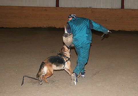 Training in Estonia 3/2007